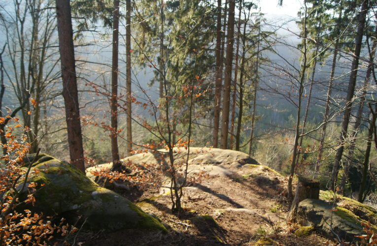 Miláčka