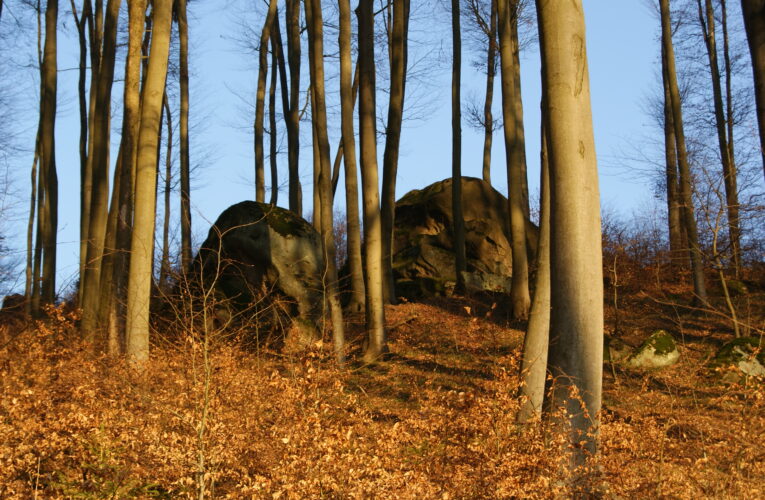 Skály pod Katamendou (Skály pod Březovou)
