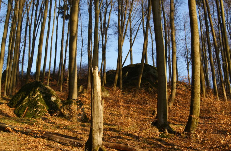 Skály pod Katamendou (Skály pod Březovou)