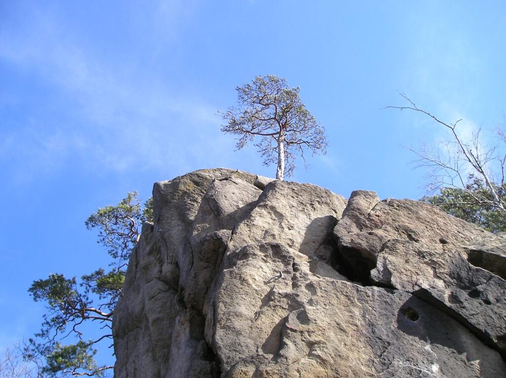 P1010012