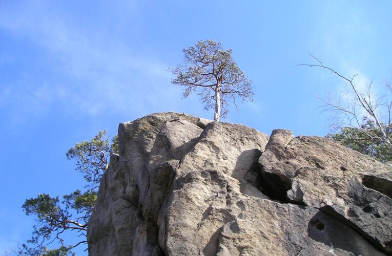 P1010012