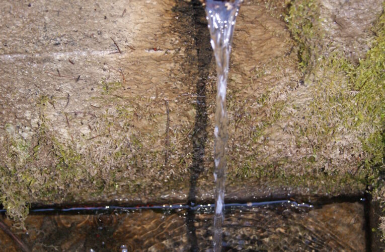 Račí studánka