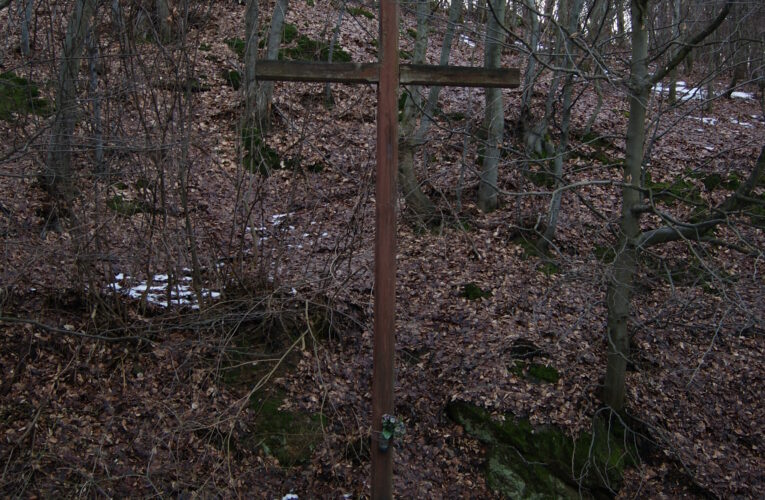 DSC07221