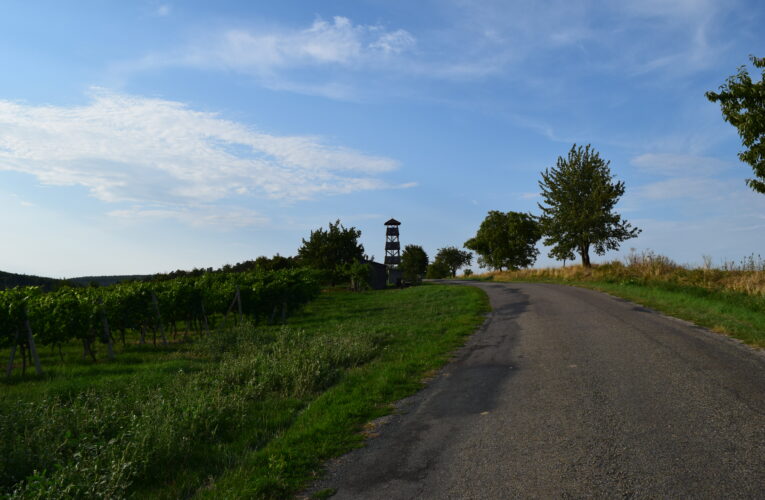 DSC 0005