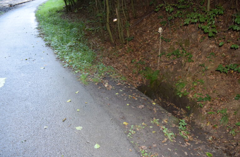DSC 0010