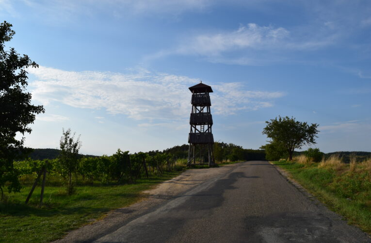 DSC 0015 1