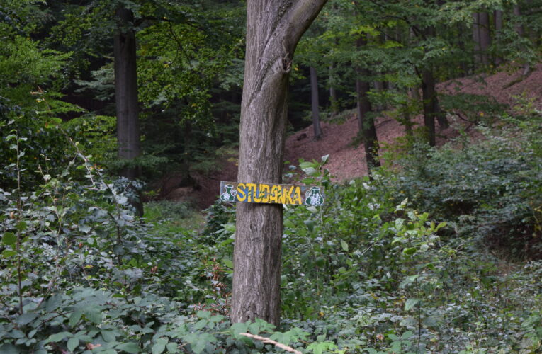 DSC 0033
