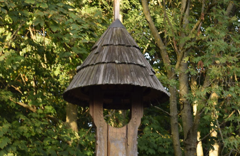 DSC 0924