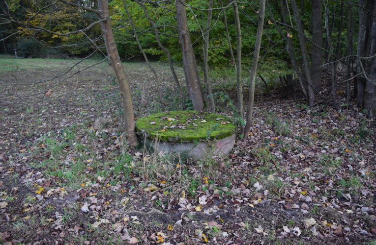 DSC 0002