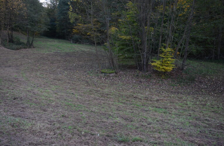 DSC 0004