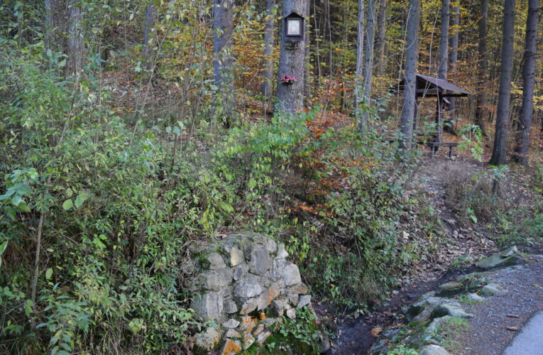 DSC 0024 1