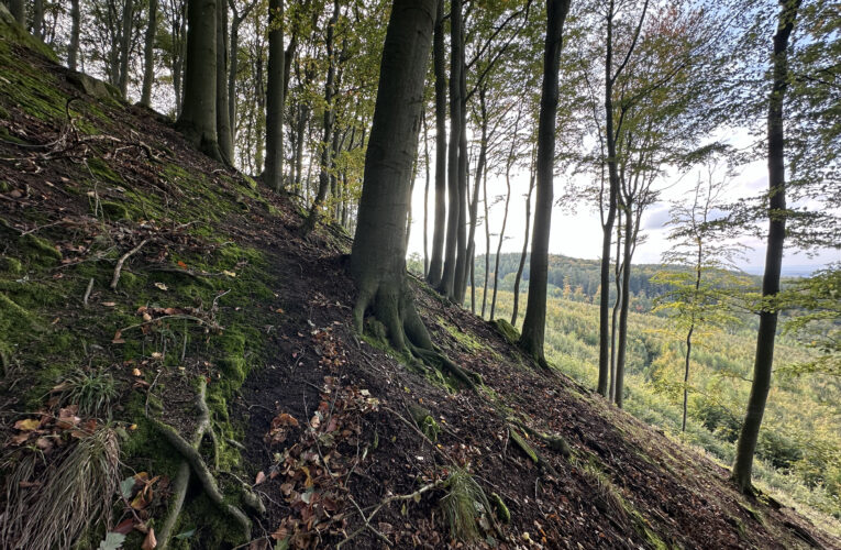 Rozštípená skála (Zlobivá skála)