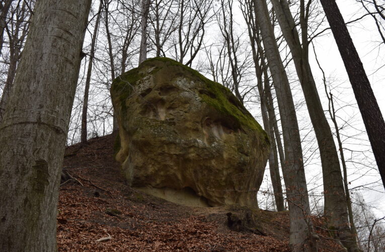 Ovčácká skála