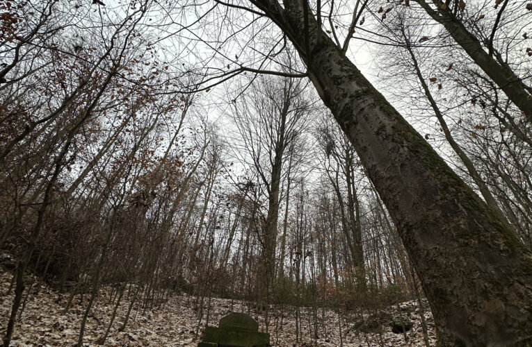 Brázdilova studánka