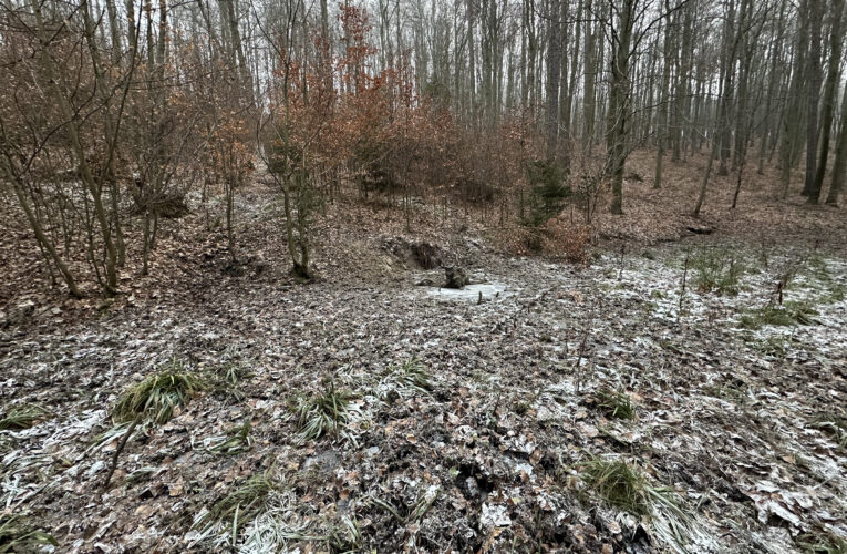 Brázdilova studánka