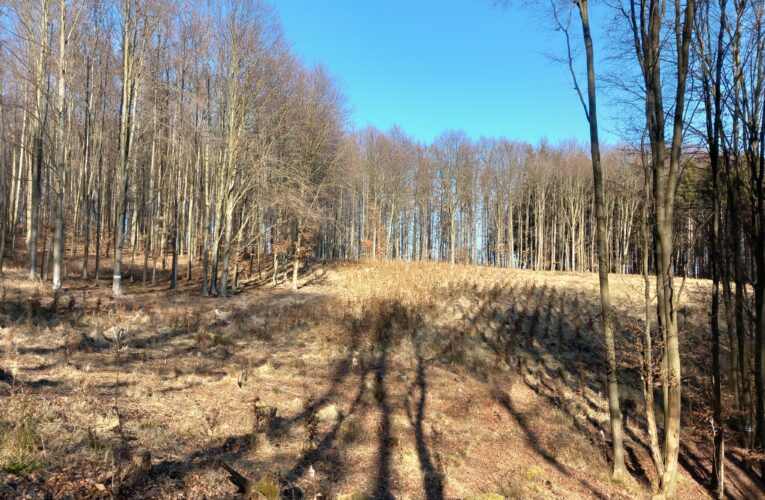 Studánka Pod Korábkem​