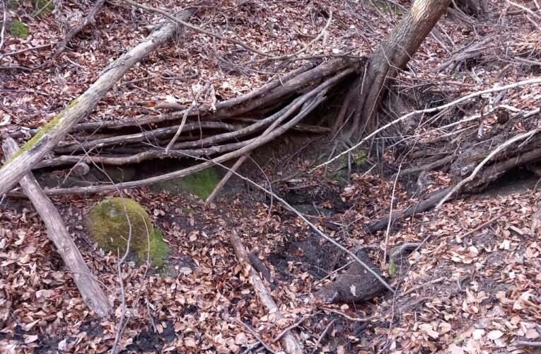 Studánka Pod Korábkem​