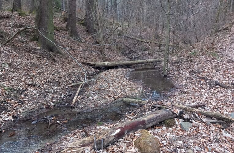 Strachvicova studánka