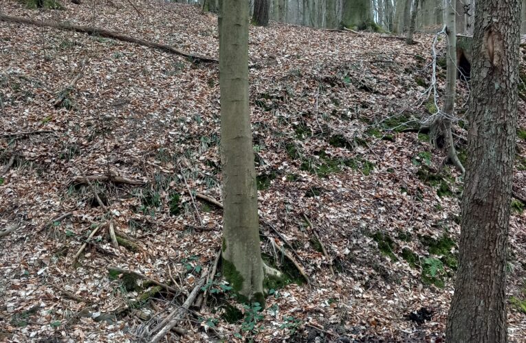 Strachvicova studánka