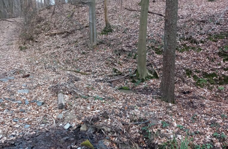 Strachvicova studánka