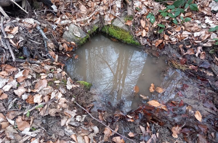 Strachvicova studánka