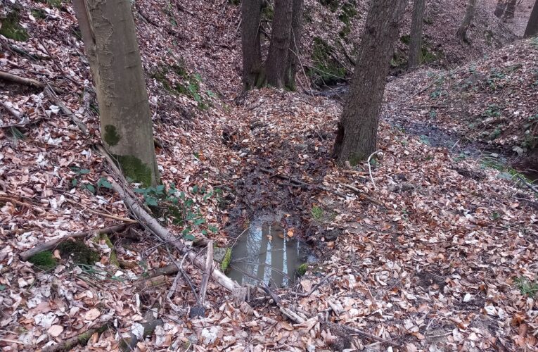 Strachvicova studánka