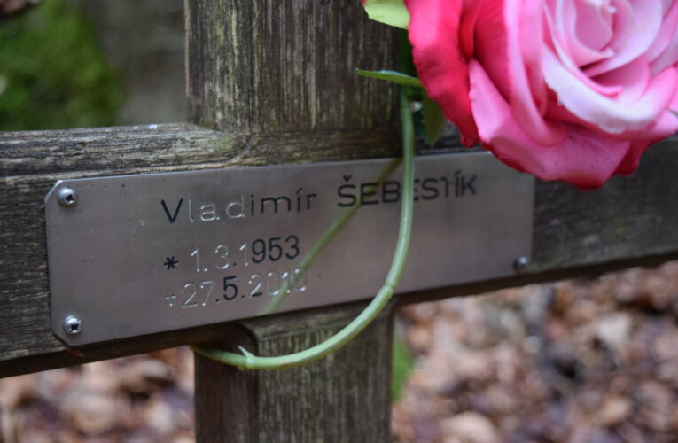 Šebestíkův kříž