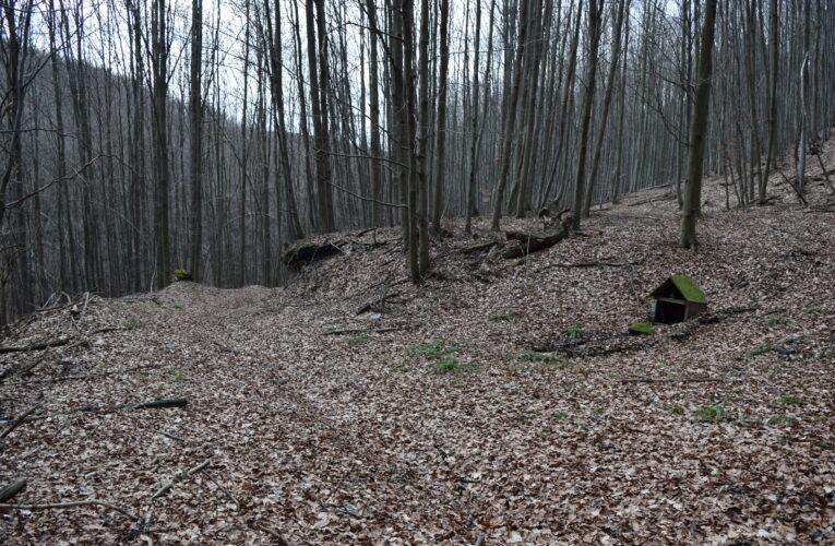 Kamenné potoky
