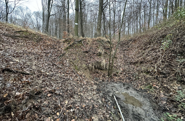 Jáchymova studánka