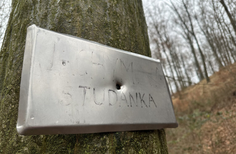 Jáchymova studánka