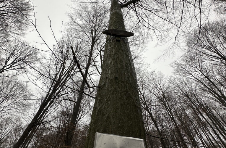 Jáchymova studánka