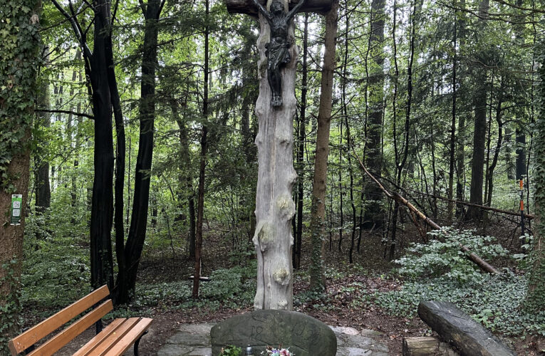 Sukovitý kříž