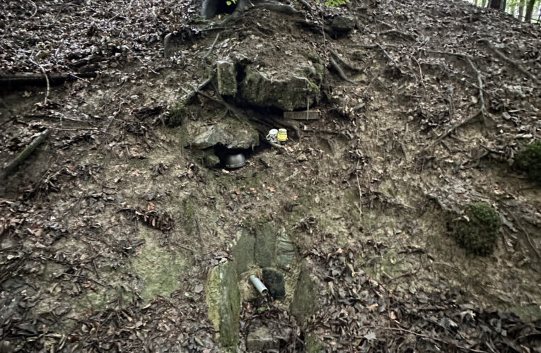 Studánka Na Divinách