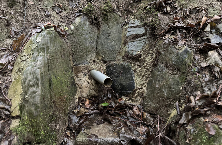 Studánka Na Divinách