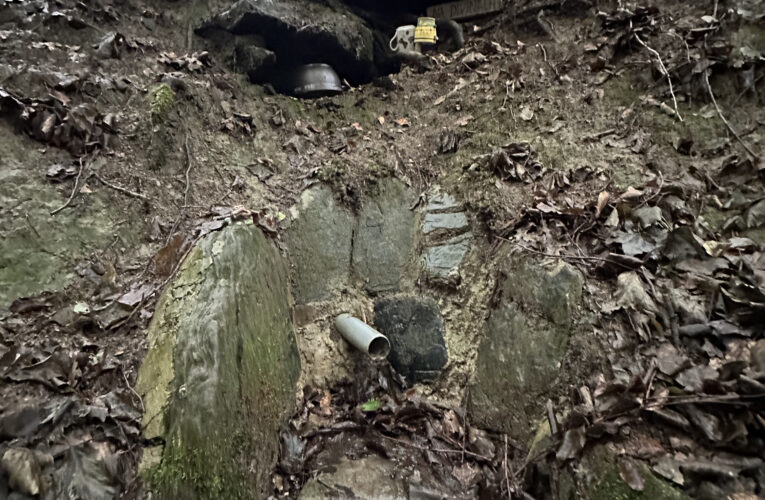 Studánka Na Divinách