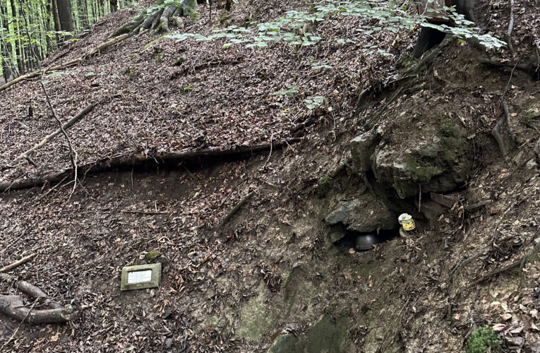 Studánka Na Divinách